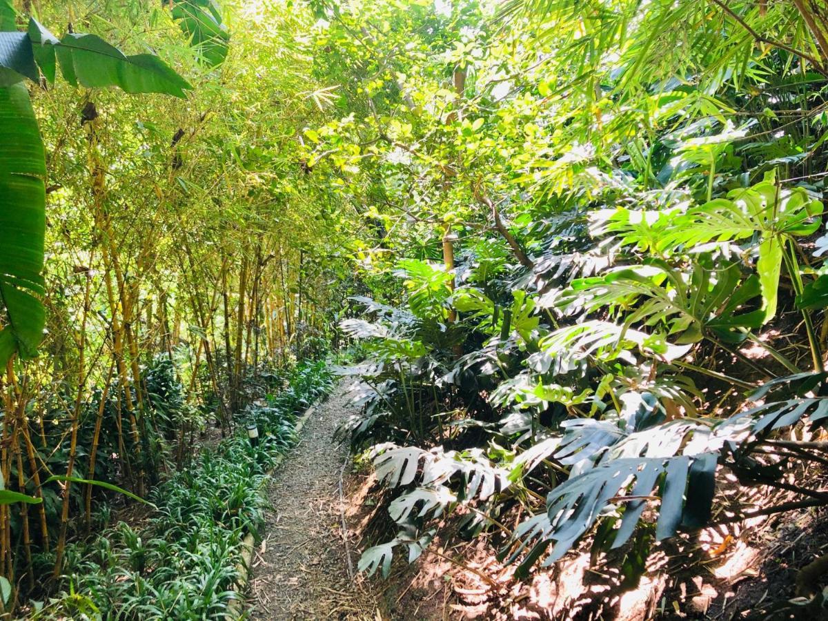 Patio Del Mundo Ξενοδοχείο Μεντεγίν Εξωτερικό φωτογραφία